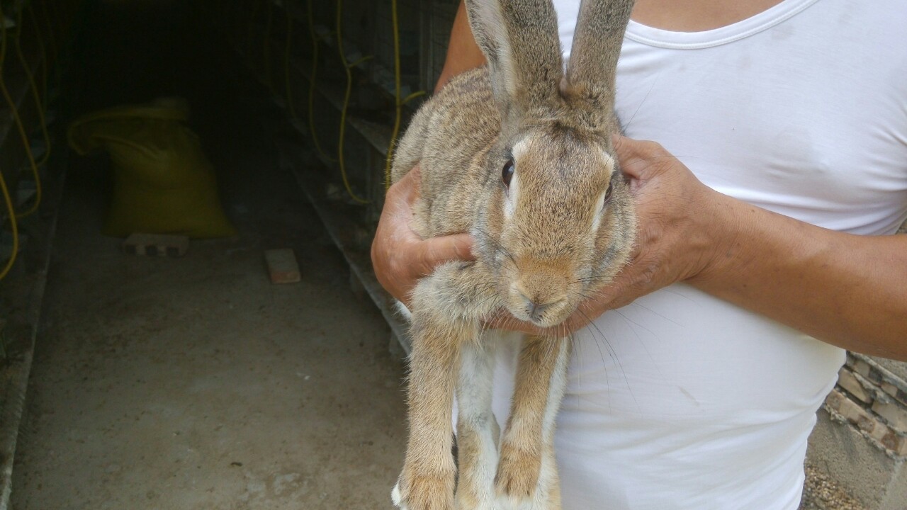 JDB电子游戏官网-现代简约装修风格展示效果图(图4) JDB电子