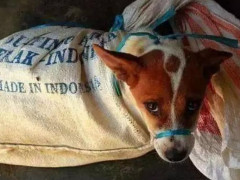 ‘JDB电子试玩网页版’测试:你会遭遇三角恋吗?(图4) JDB电子试玩网页版