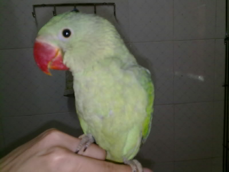 湖北嘉禾云家装助力中国建设银行家装节成功举办!:JDB电子游戏官网(图2) JDB电子试玩网页版