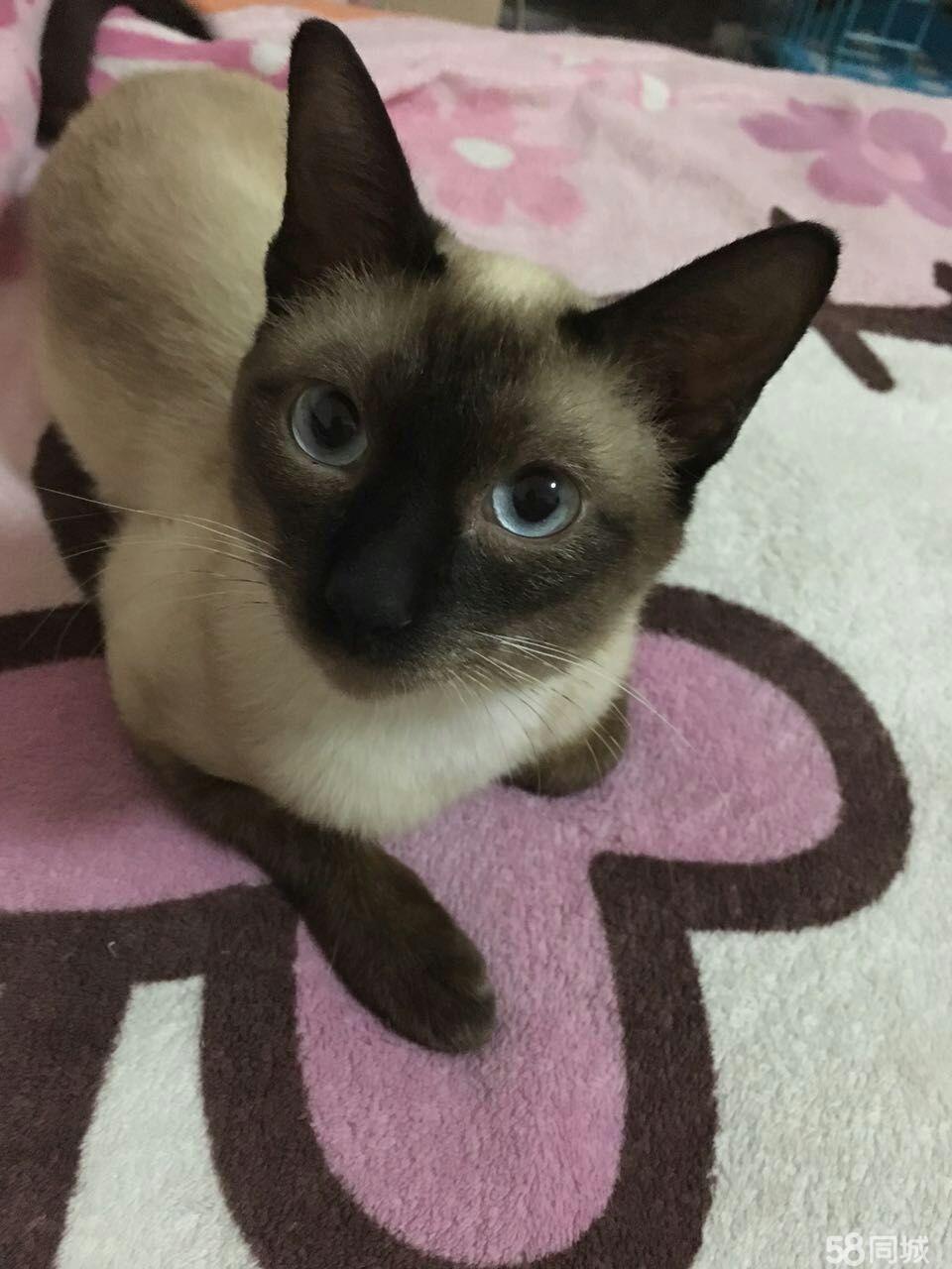 JDB电子游戏官网