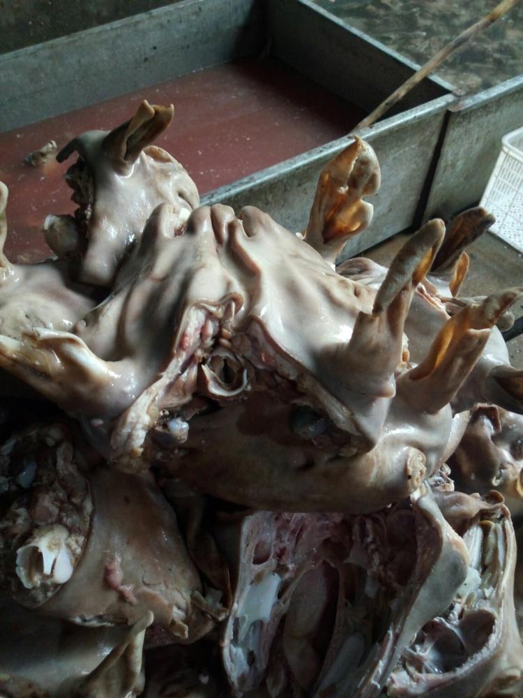 JDB电子_5套设计告诉你 卧室一定要舒适!(图3) JDB电子试玩网页版