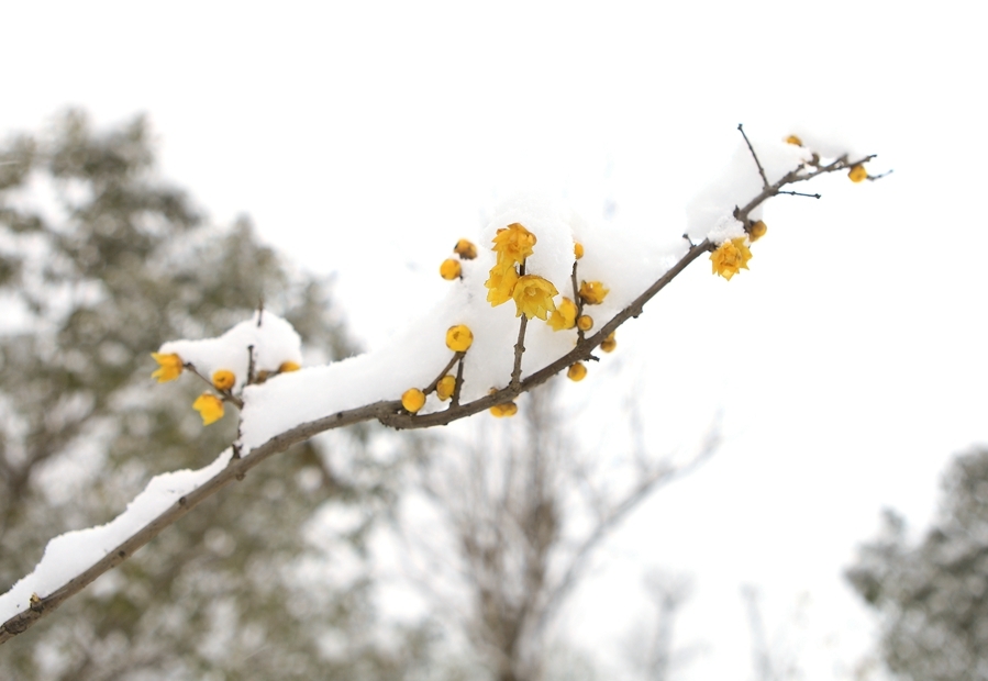 JDB电子试玩网页版