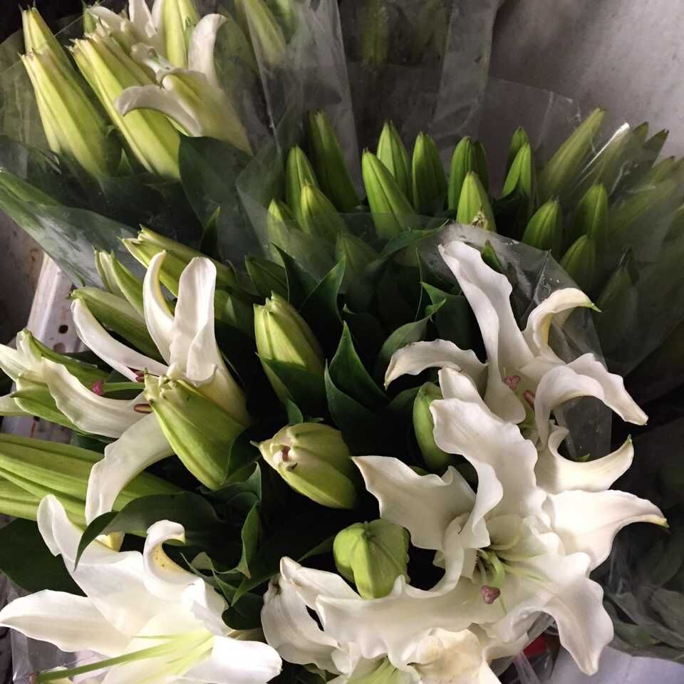 JDB电子试玩网页版