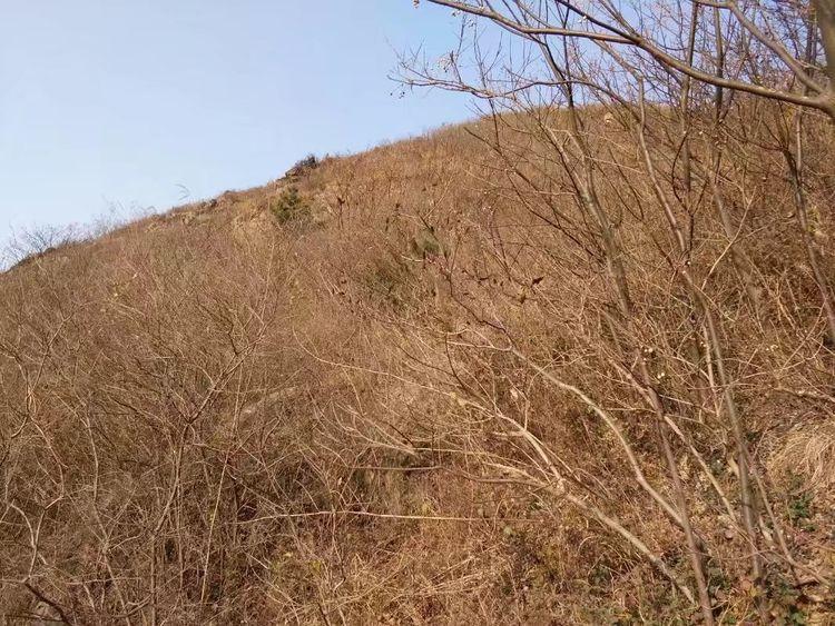 ‘JDB电子试玩网页版’
米兰官宣1人!C罗队友转战德甲 3年进2球 亏了2900万欧(图2) JDB电子