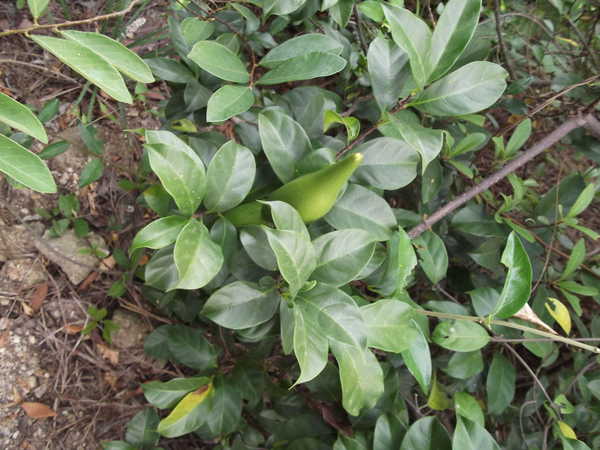 JDB电子游戏官网:自发热瓷砖究竟是什么?为什么现在很多人选择来做装修(图2) JDB电子