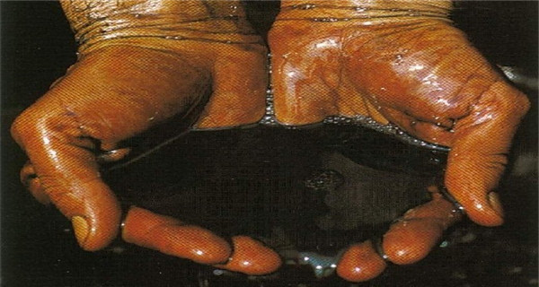 JDB电子试玩网页版