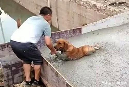 JDB电子试玩网页版