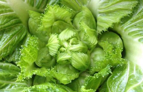 ‘JDB电子游戏官网’阳台瓷砖的五大选购技巧