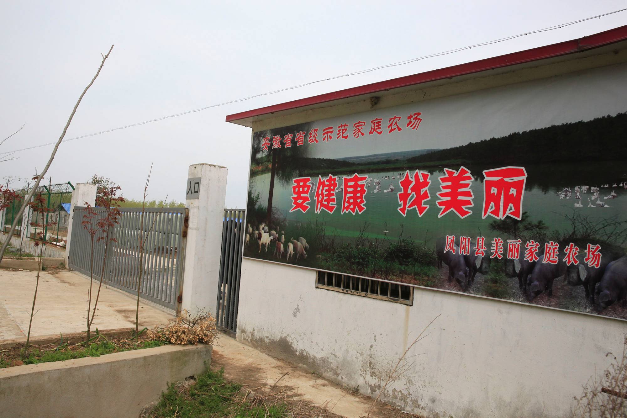 JDB电子试玩网页版