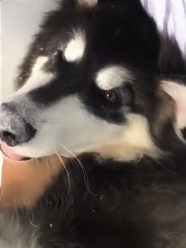 ‘JDB电子’香奈儿丝绒口红颜色 那些颜色最显白呢？