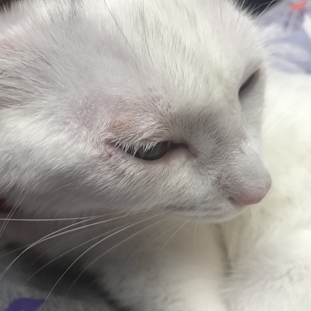 JDB电子试玩网页版