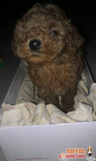 JDB电子试玩网页版