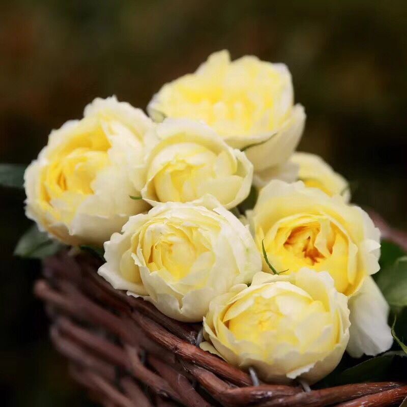 JDB电子游戏官网