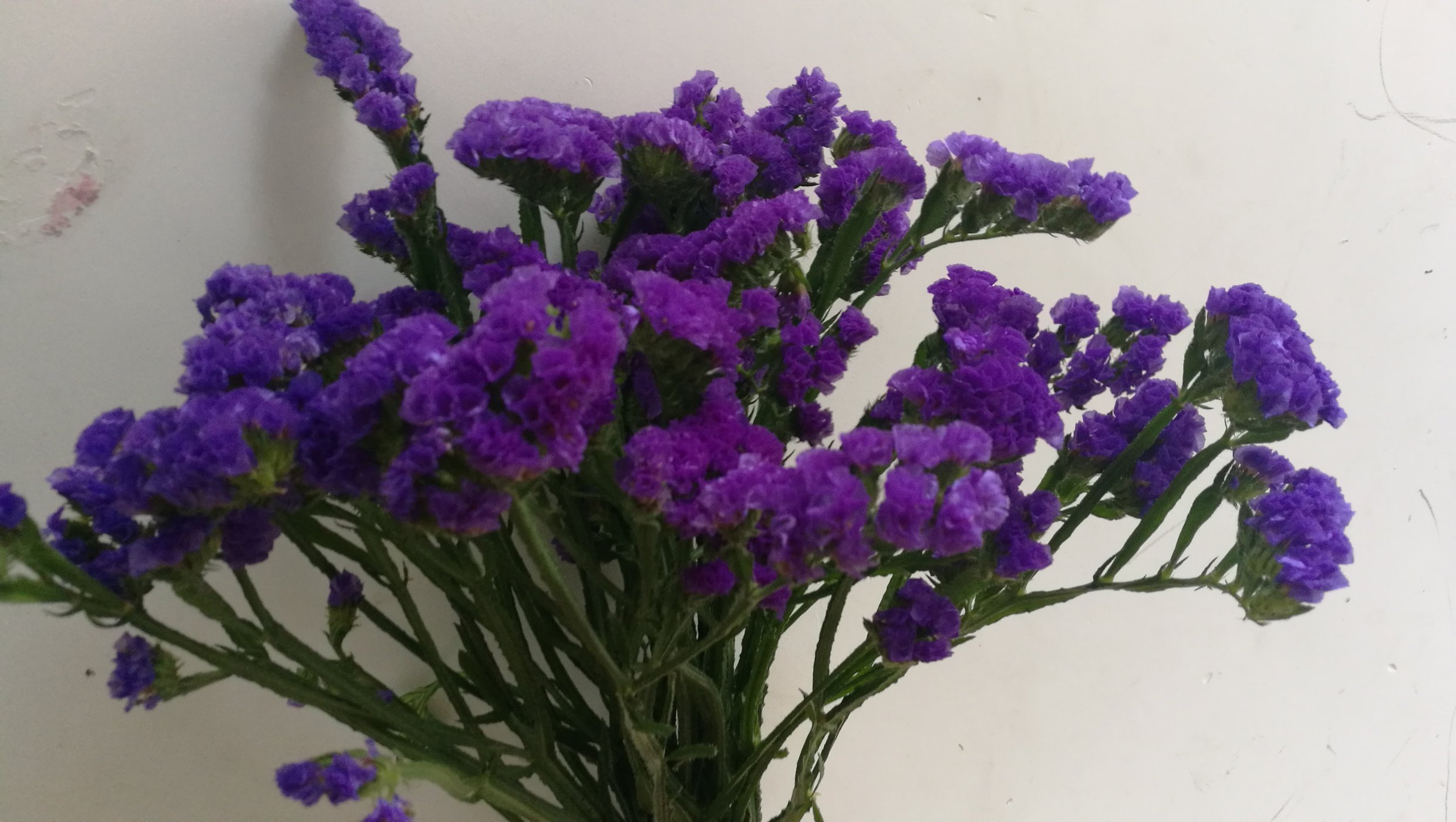 JDB电子_每天日光浴可降低子宫肌瘤风险(图2) JDB电子游戏官网