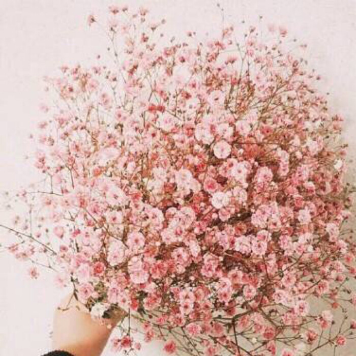 ‘JDB电子试玩网页版’史上最全的墙纸安装流程