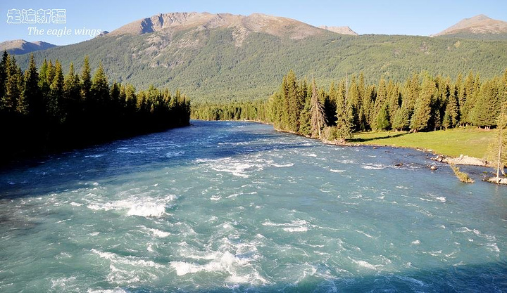 JDB电子试玩网页版|防腐木是什么，防腐木的安装技巧