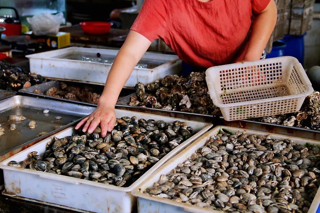 JDB电子试玩网页版