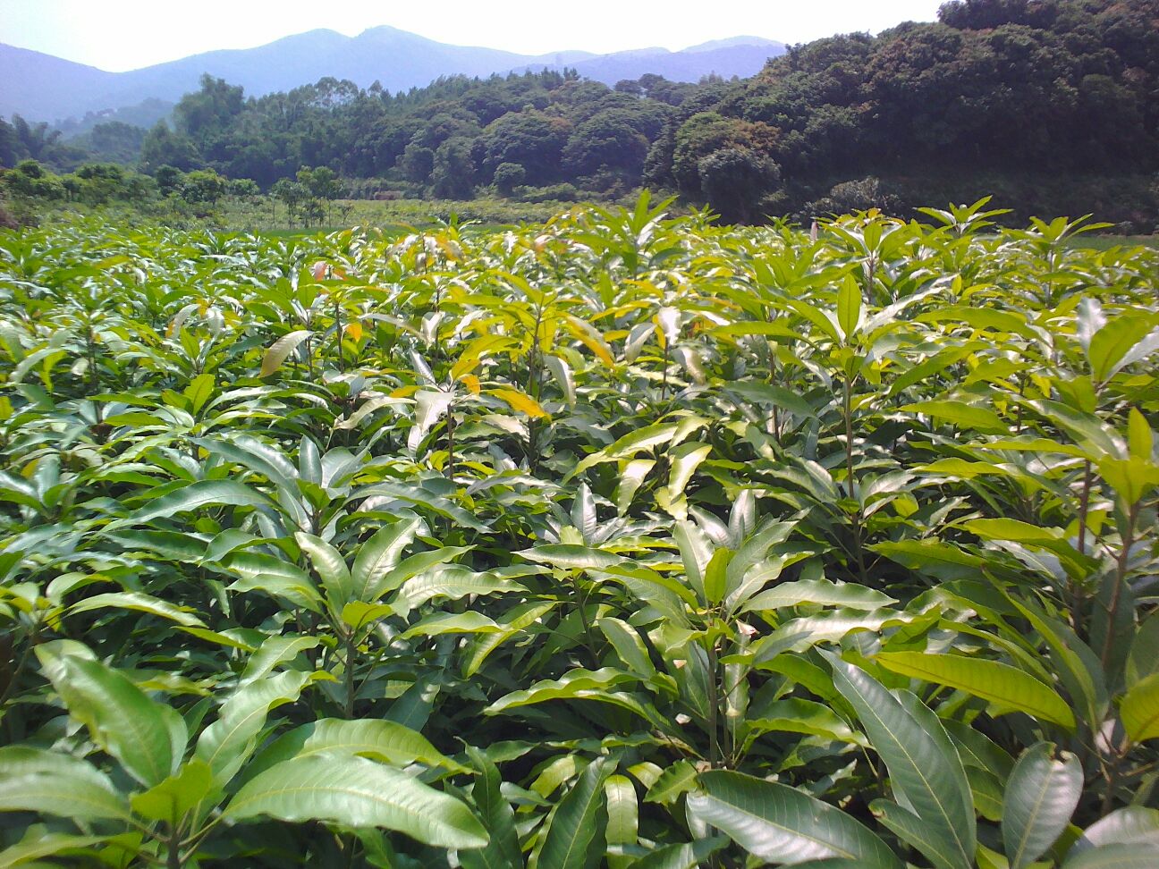 别让家居致癌物断送了你的美好生活‘JDB